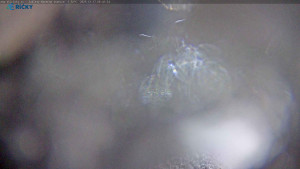 Skicentrum Říčky - Výstupní stanice Zakletý - 17.12.2025 v 06:45