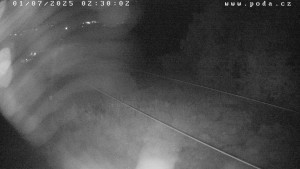 Ski Olešnice - Výstup vlek A - 1.7.2025 v 02:30
