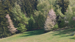 Pohled na město