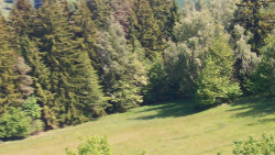 Pohled na město