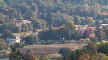 Město Olešnice