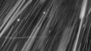 Annaberg - Sjezdovka - 2.1.2026 v 05:45