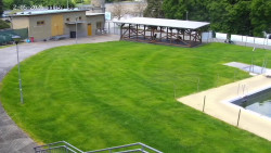 Koupaliště