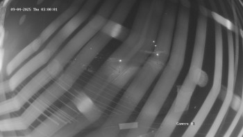 Snímek    4.9.2025 v 03:01