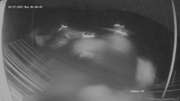 Snímek    27.10.2025 v 06:02