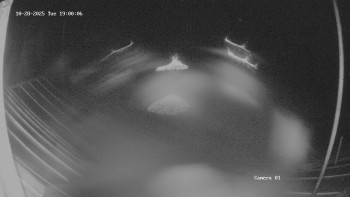 Snímek    28.10.2025 v 19:02