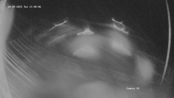 Snímek    28.10.2025 v 21:02