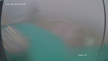 Snímek    5.11.2025 v 07:01