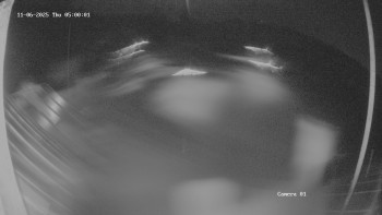 Snímek 6.11.2025 v 05:02