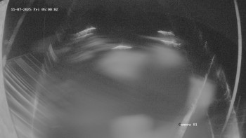 Snímek 7.11.2025 v 05:01