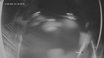 Snímek 8.11.2025 v 00:02