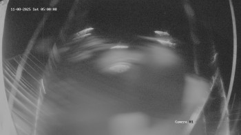 Snímek 8.11.2025 v 05:02