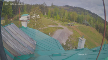 Zvičina