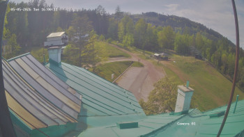 Zvičina