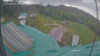 Zvičina