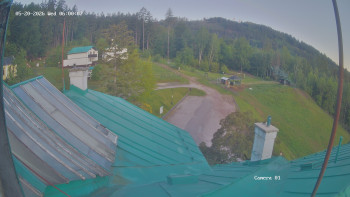 Zvičina