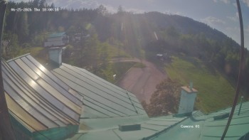 Zvičina