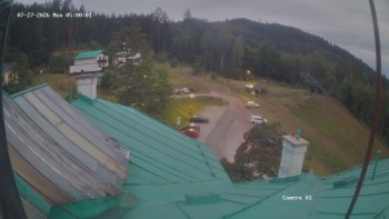 Zvičina