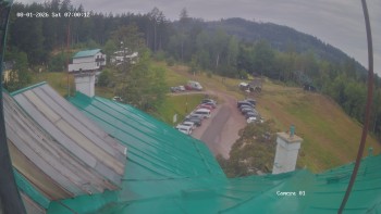 Zvičina