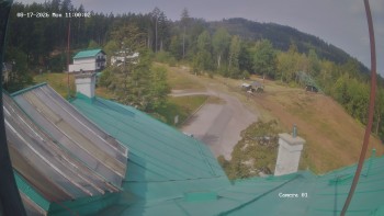 Zvičina