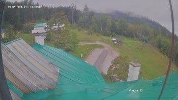 Zvičina