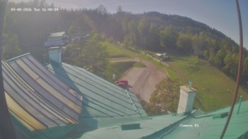 Zvičina