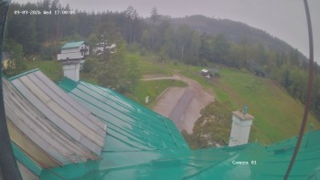 Zvičina