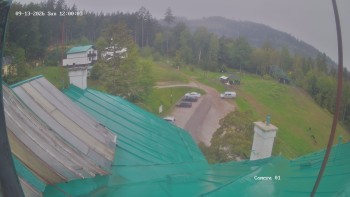 Zvičina