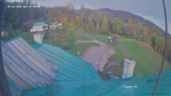 Zvičina