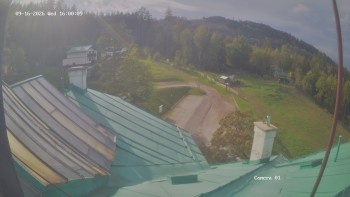 Zvičina