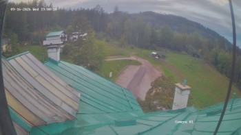 Zvičina
