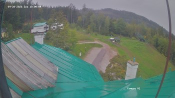 Zvičina