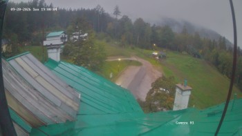 Zvičina