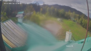 Zvičina