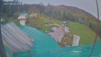 Zvičina