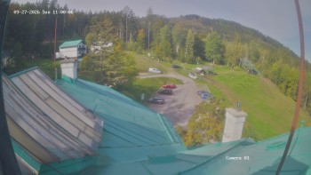 Zvičina