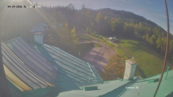 Zvičina
