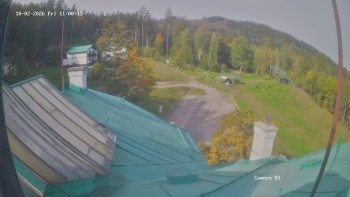 Zvičina
