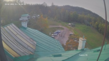 Zvičina