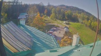 Zvičina