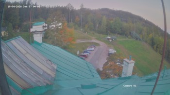 Zvičina