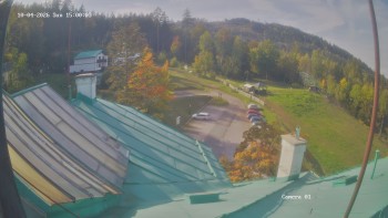 Zvičina