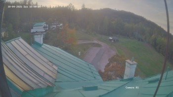 Zvičina