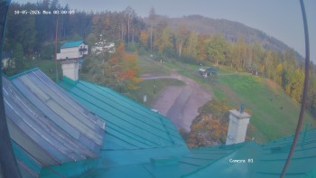 Zvičina