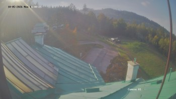 Zvičina