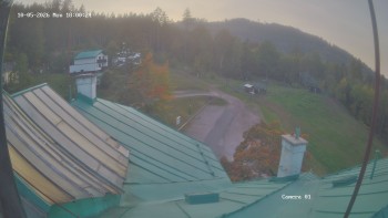 Zvičina