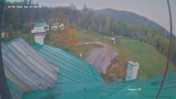 Zvičina