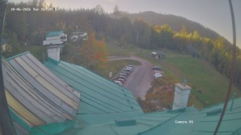 Zvičina