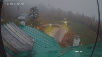 Zvičina