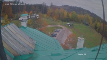 Zvičina